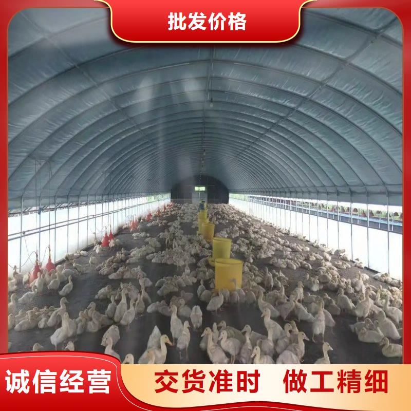 龙子湖区棉被大棚正规厂家