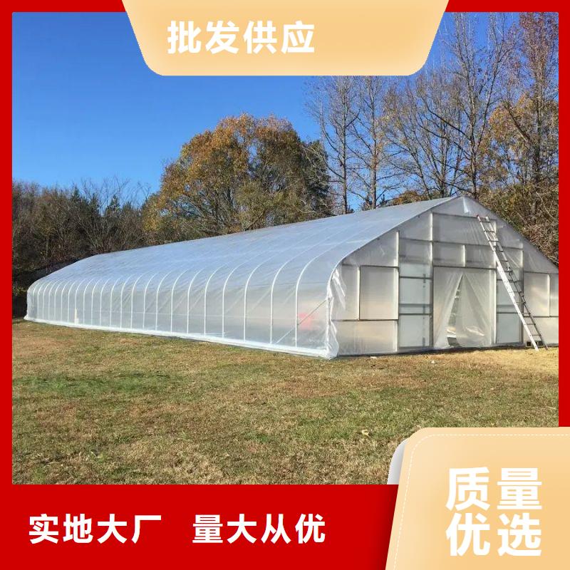 塑料薄膜温室怎么卖