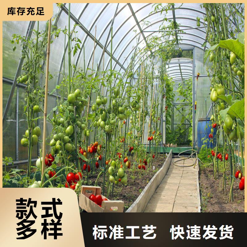 大棚管2农业养殖大棚管质量优选