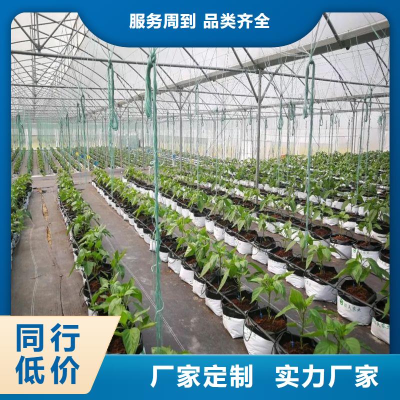 龙子湖区棉被大棚正规厂家