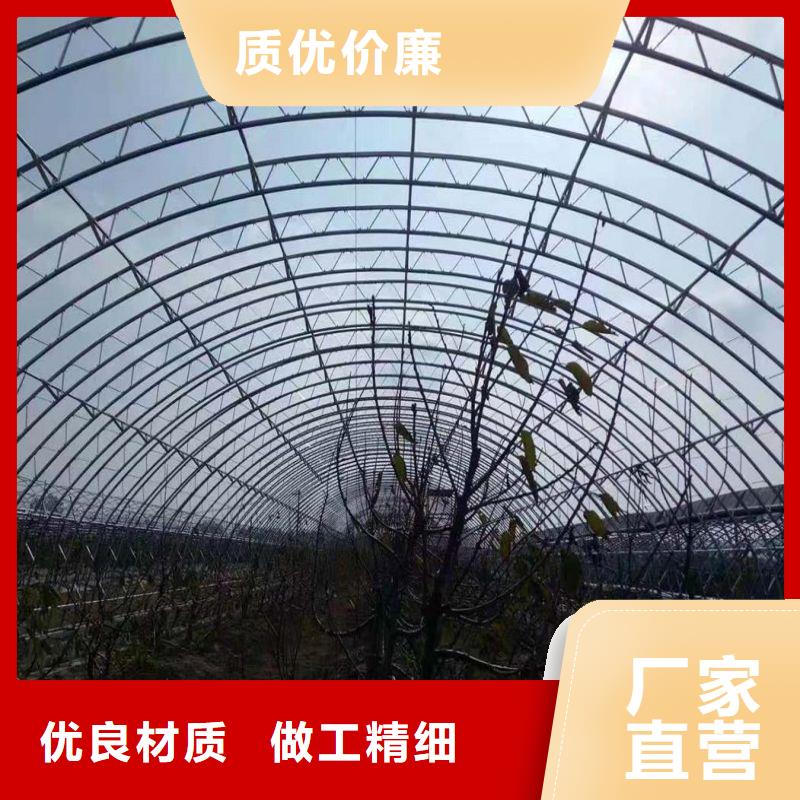 大棚管2【镀锌方管】应用领域