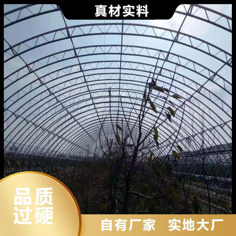 大棚管2智能温室大棚买的放心安兴用的舒心
