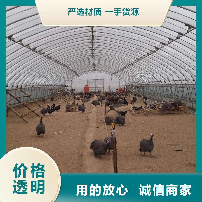 大棚管2【镀锌方管】应用领域
