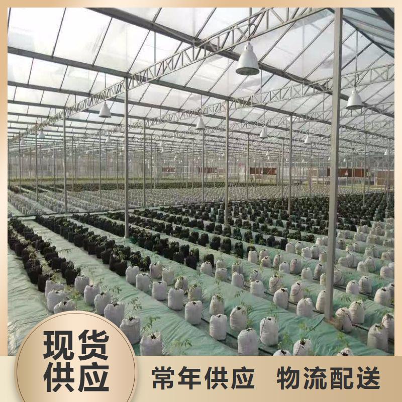 【大棚管2_镀锌大棚管服务始终如一】