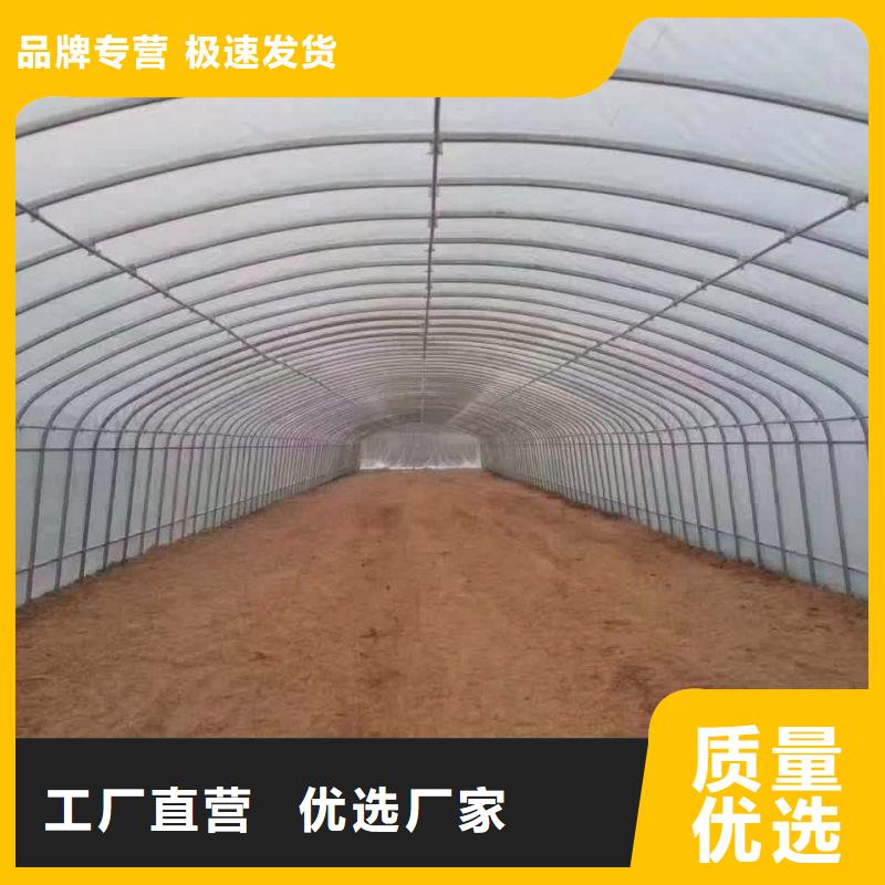 【大棚管2镀锌大棚管优选厂家】
