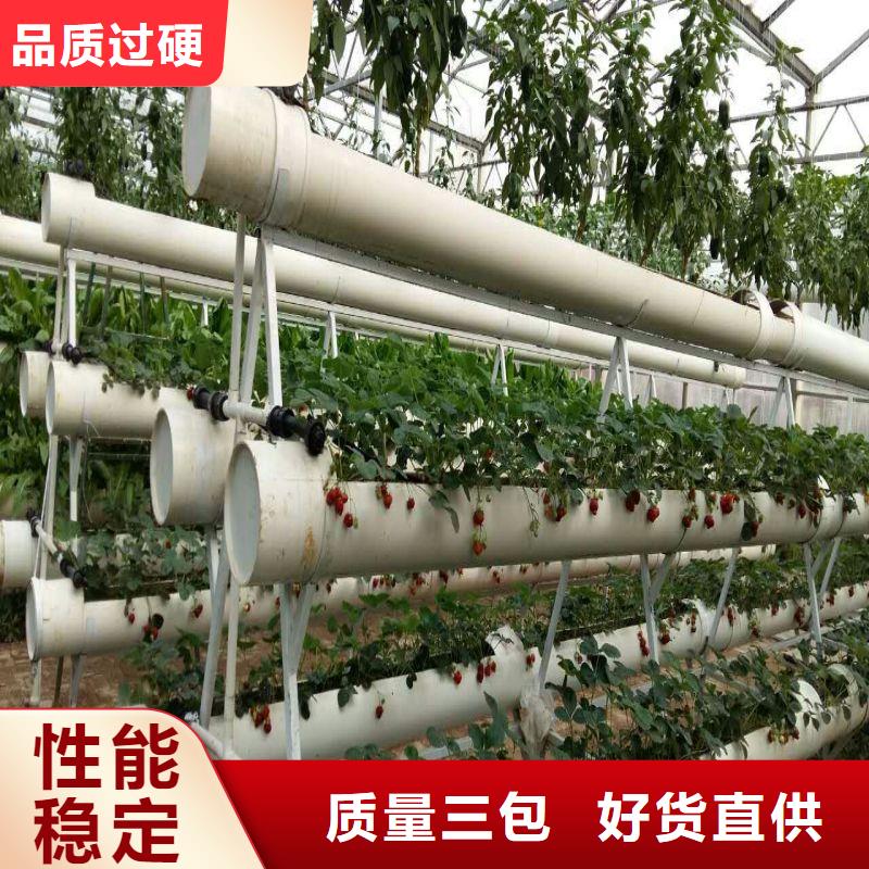 大棚管2农业养殖大棚管长期供应