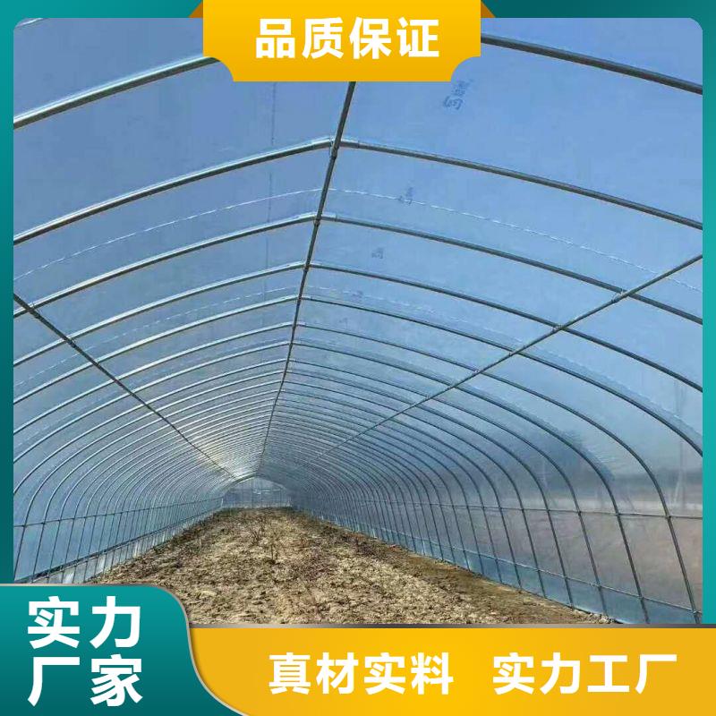 大棚管2温室大棚管实时报价