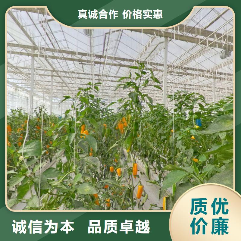 大棚管2_温室大棚管原厂制造