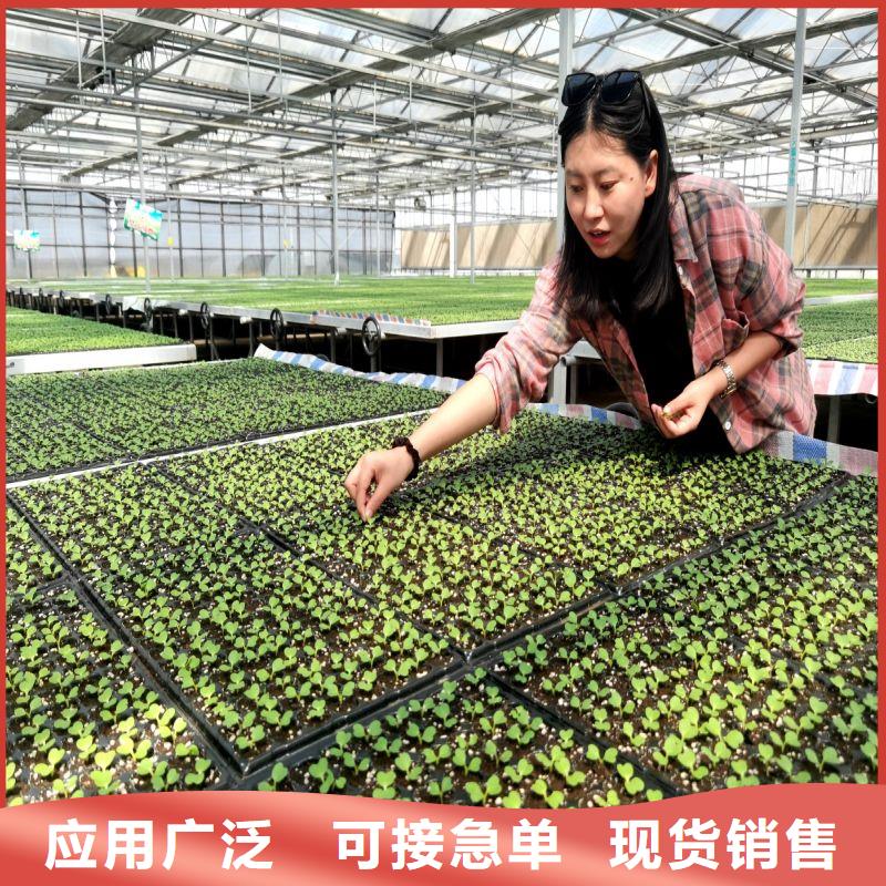 大棚管2温室大棚管工艺精细质保长久