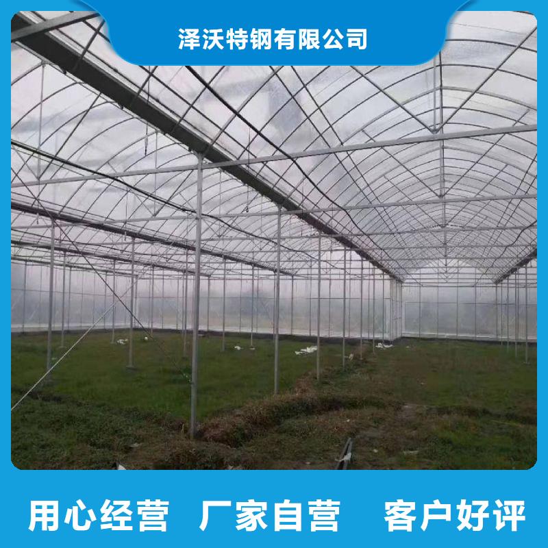 龙子湖区棉被大棚正规厂家