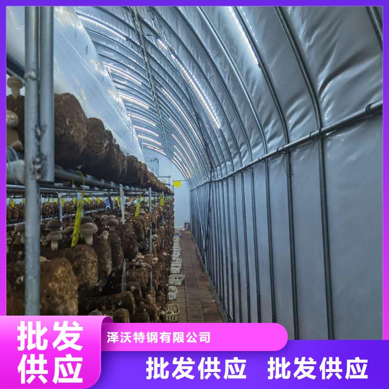 大棚管2_蔬菜温室大棚管产品实拍