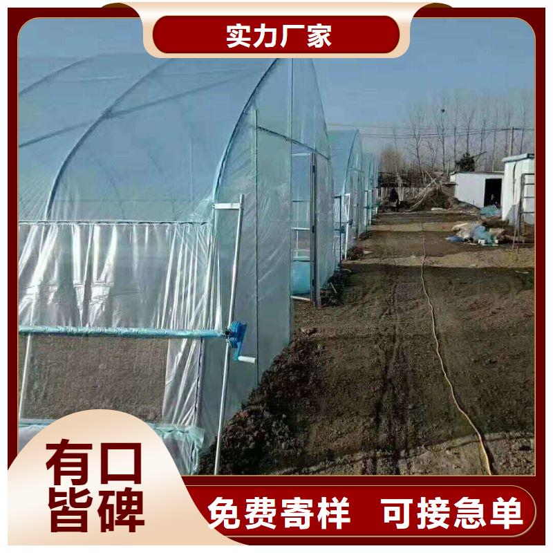 【大棚管2镀锌大棚管优选厂家】