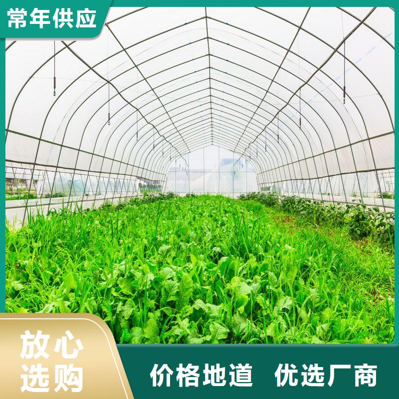 大棚管2温室大棚管批发商