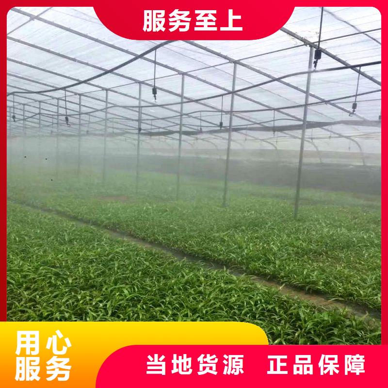 大棚管2大棚管性价比高
