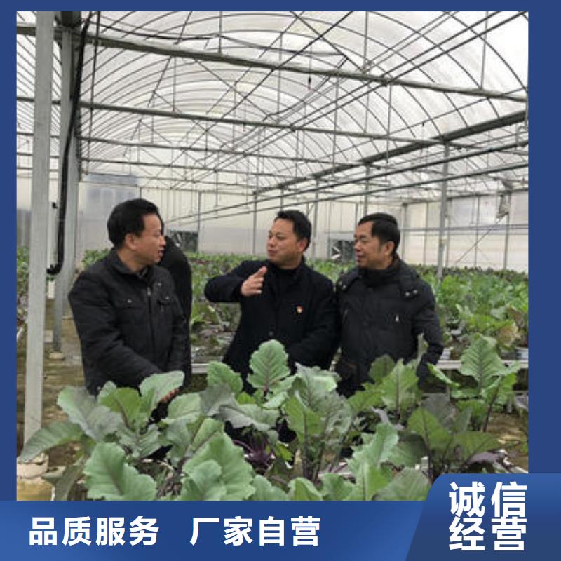 大棚管温室薄膜大棚质量三包