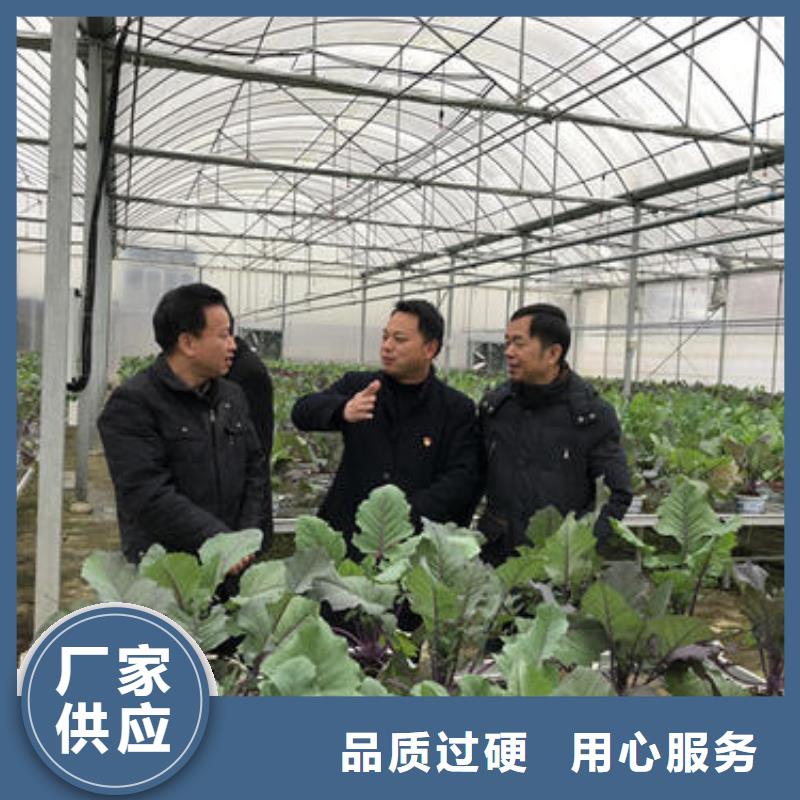 大棚管_农业养殖大棚管种类丰富