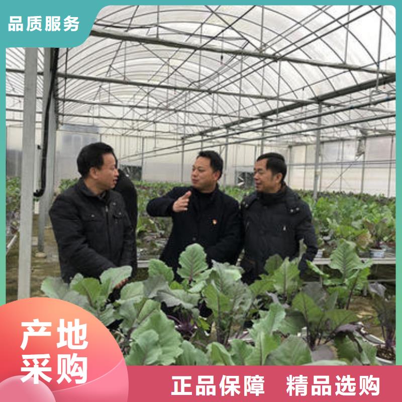  大棚管48小时发货