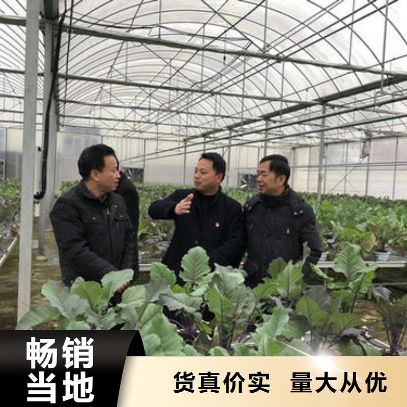 大棚管严选好货