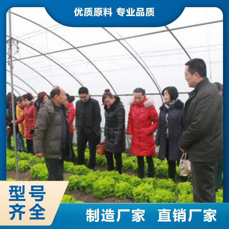 大棚管-连栋温室搭建买的放心安兴用的舒心
