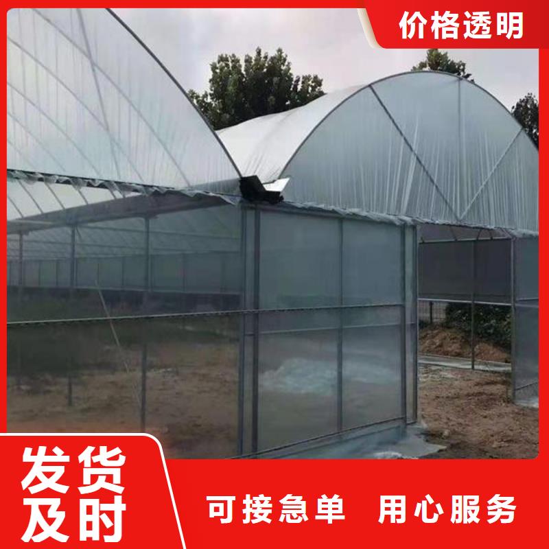 大棚管椭圆管温室大棚专注质量