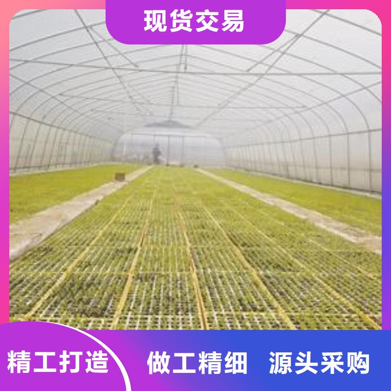 大棚管铝管  高品质诚信厂家