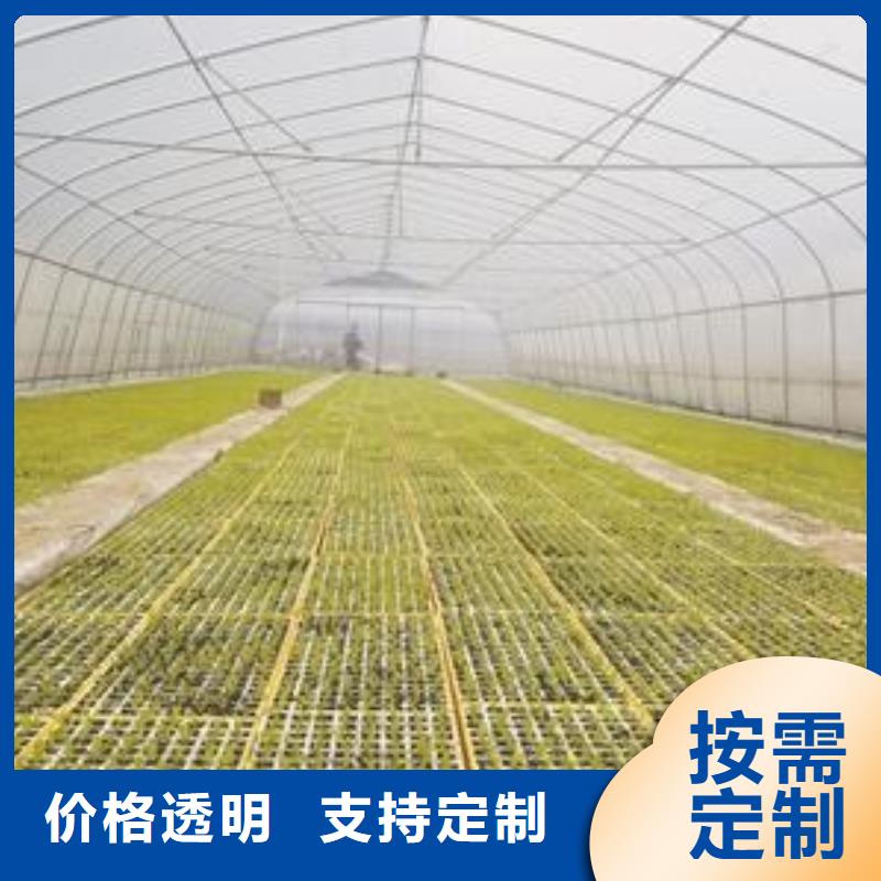 大棚管连栋大棚管当地厂家值得信赖