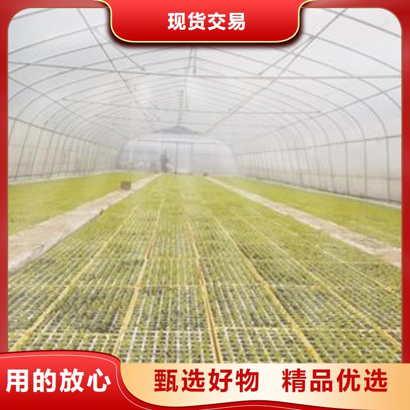 大棚管温室大棚管品牌企业