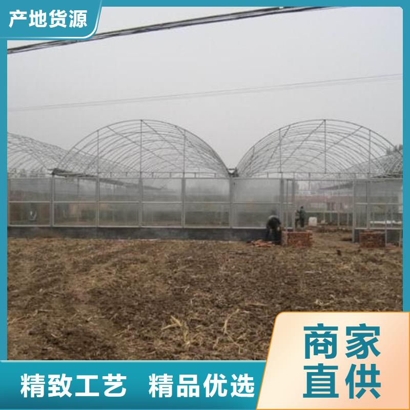  大棚管源头厂家经验丰富