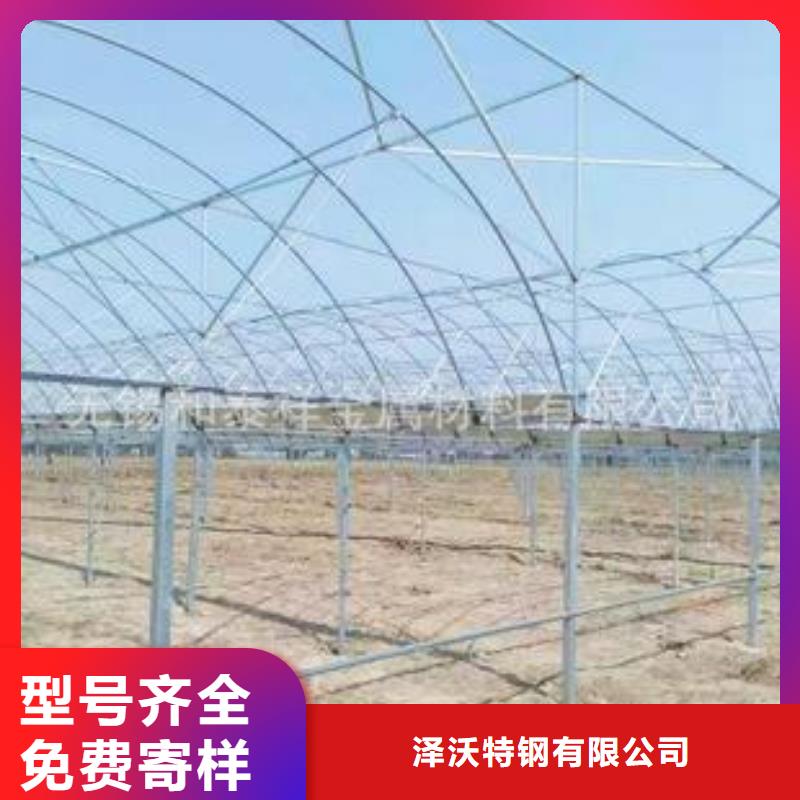 大棚管-连栋温室搭建买的放心安兴用的舒心