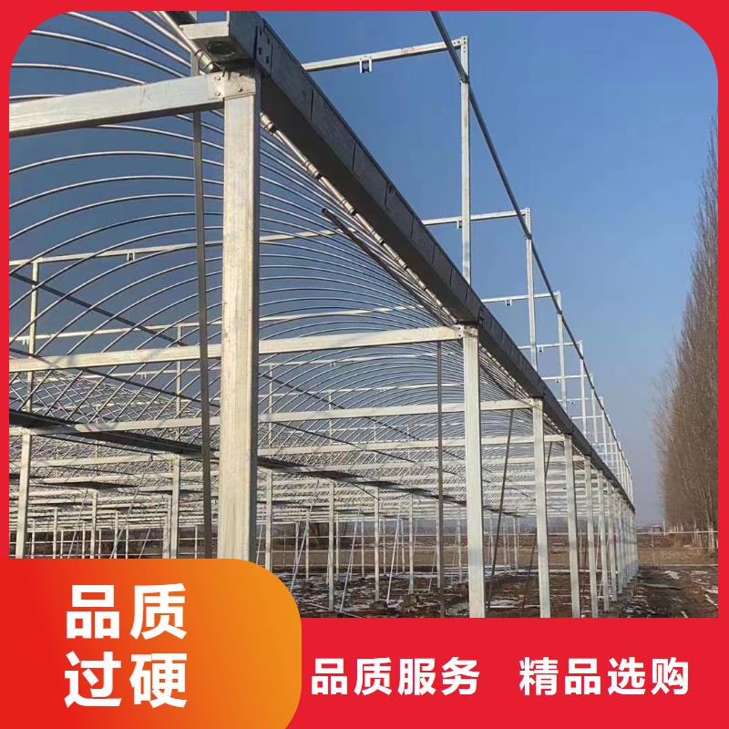 大棚管椭圆管温室大棚专注质量
