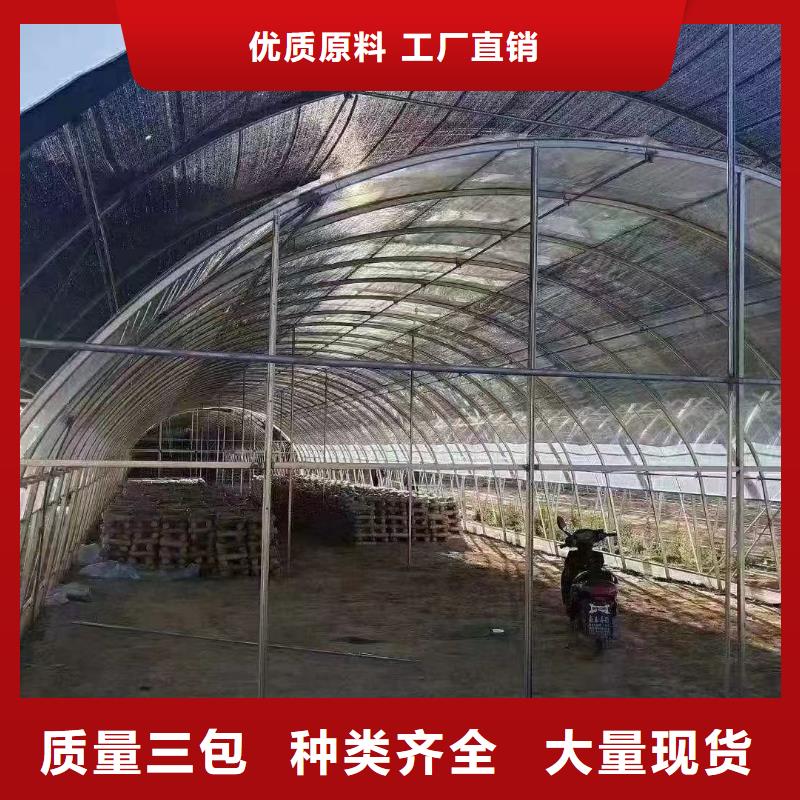 大棚管【方管】价格低