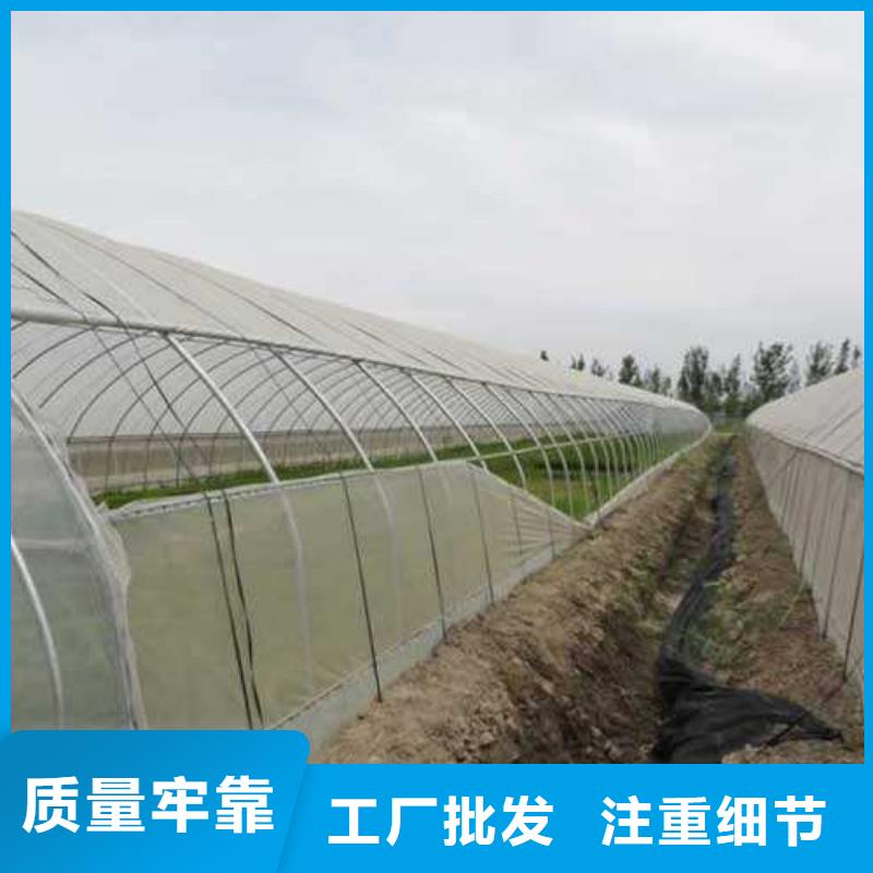 深州大棚管生产厂家制造厂家
