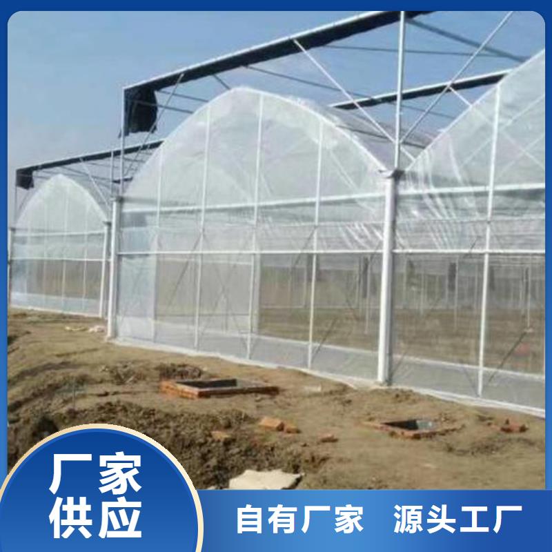 大棚管农业养殖大棚管本地配送