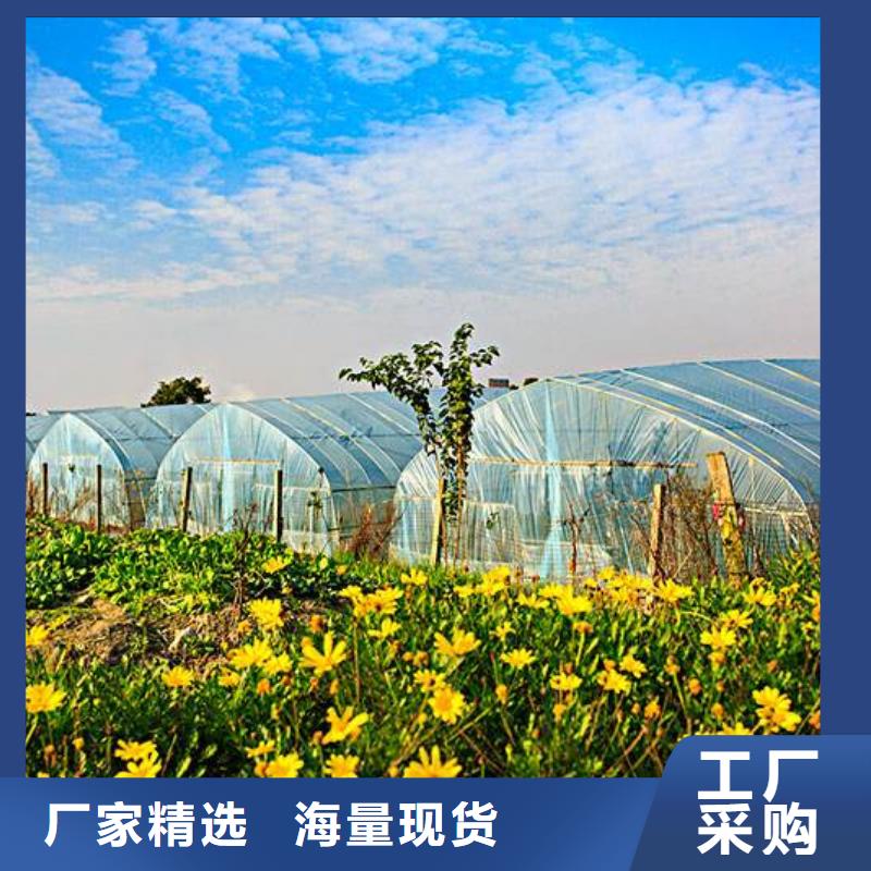 【大棚管】-温室大棚管产品优良