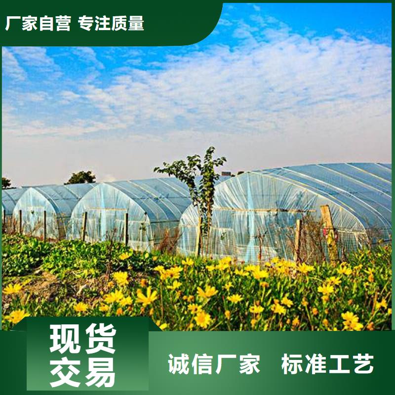 大棚管方矩管让利客户