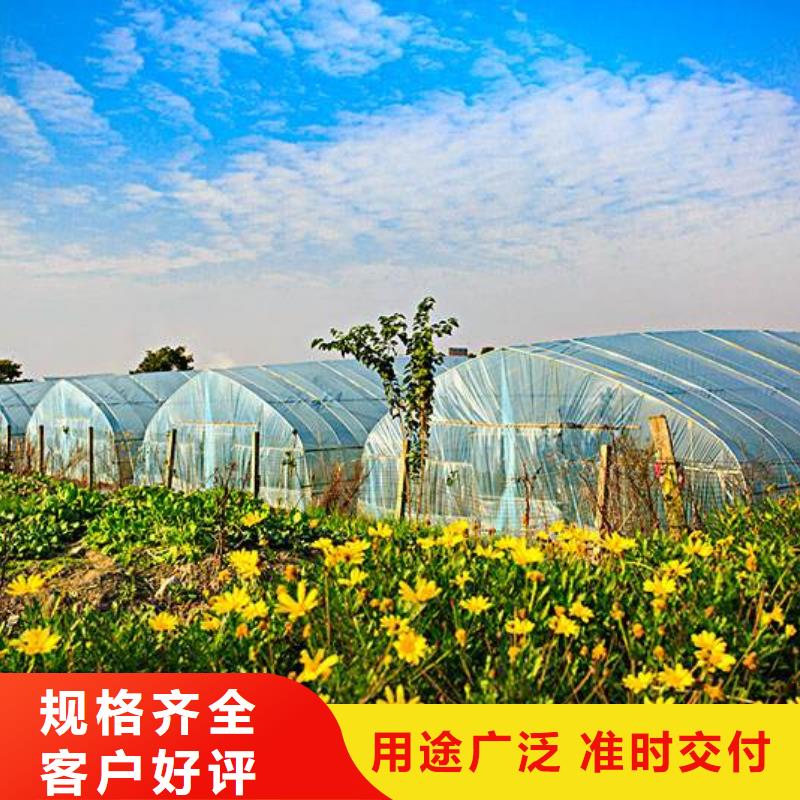 大棚管-大棚管 大棚管厂家供应