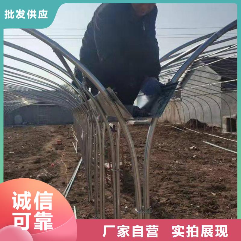 【大棚管】_农业养殖大棚管严选用料