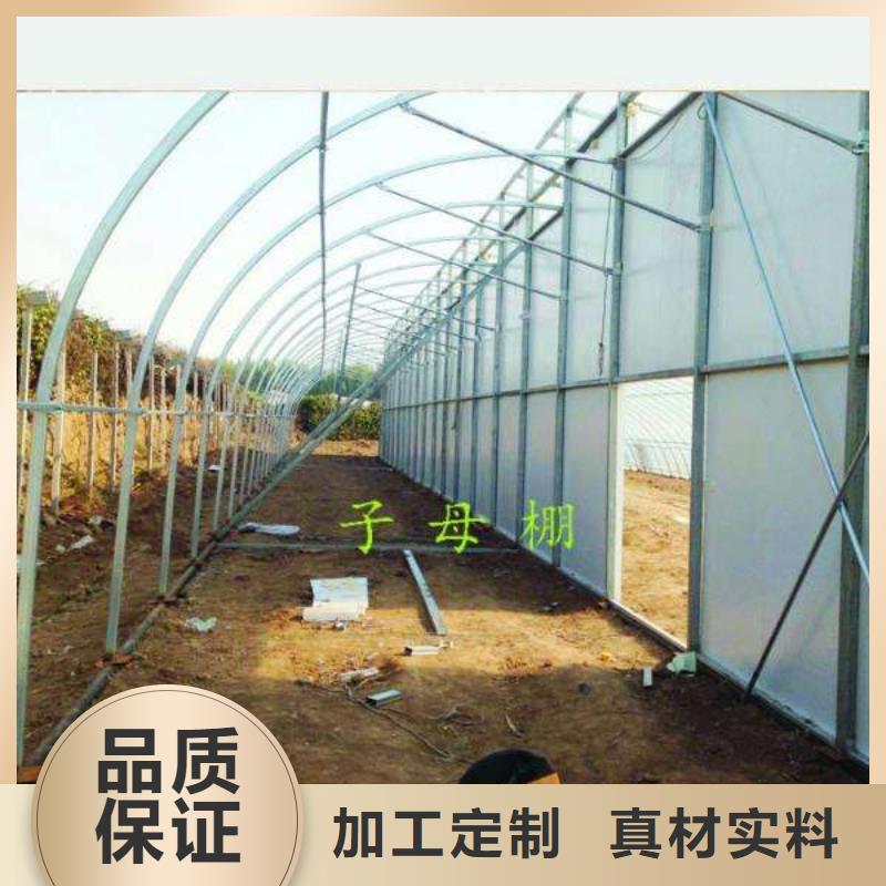 大棚管椭圆管温室大棚专注质量