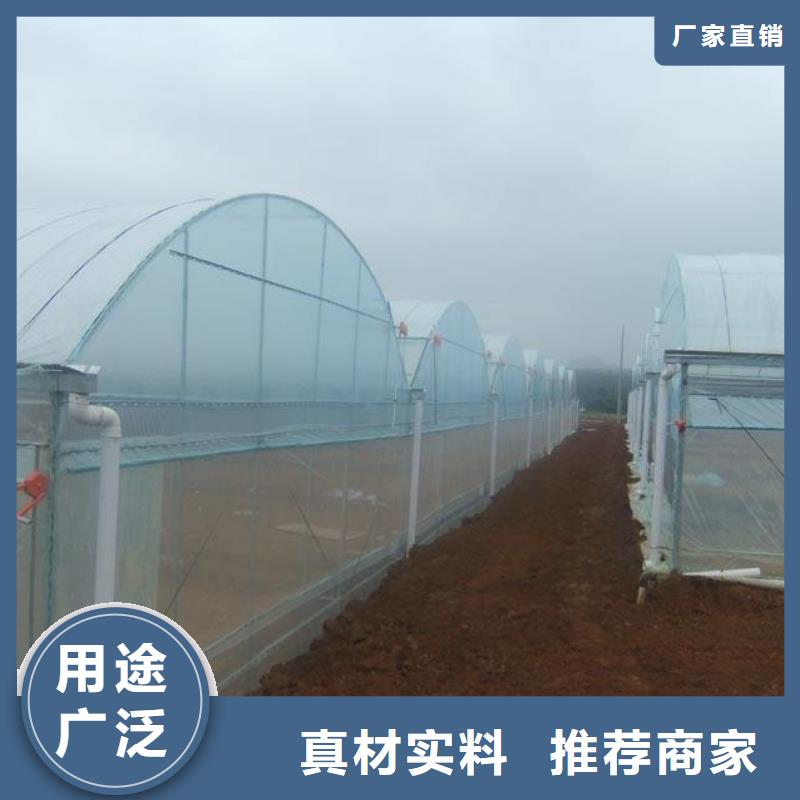 大棚管椭圆管温室大棚专注质量