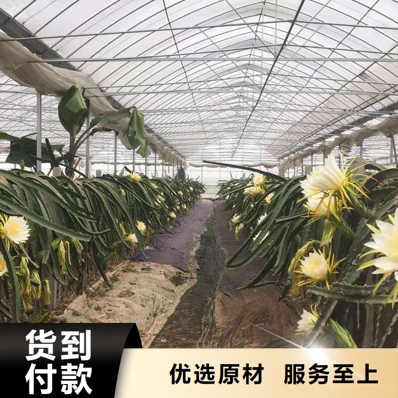 大棚管温室大棚管实力大厂家