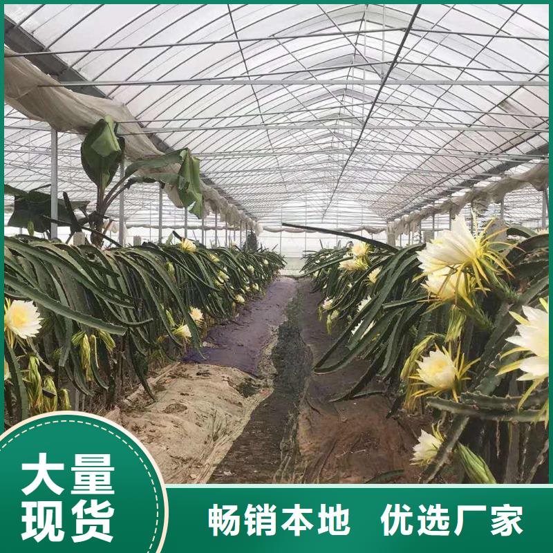 大棚管,农业养殖大棚管按需定做
