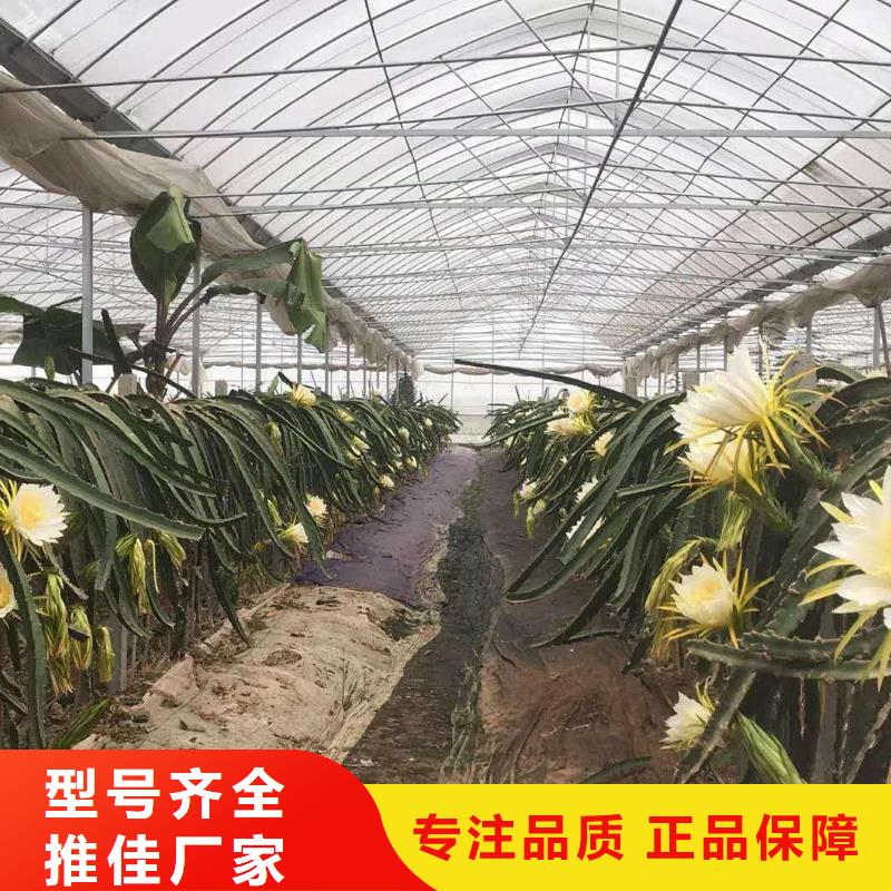 【大棚管温室大棚管核心技术】