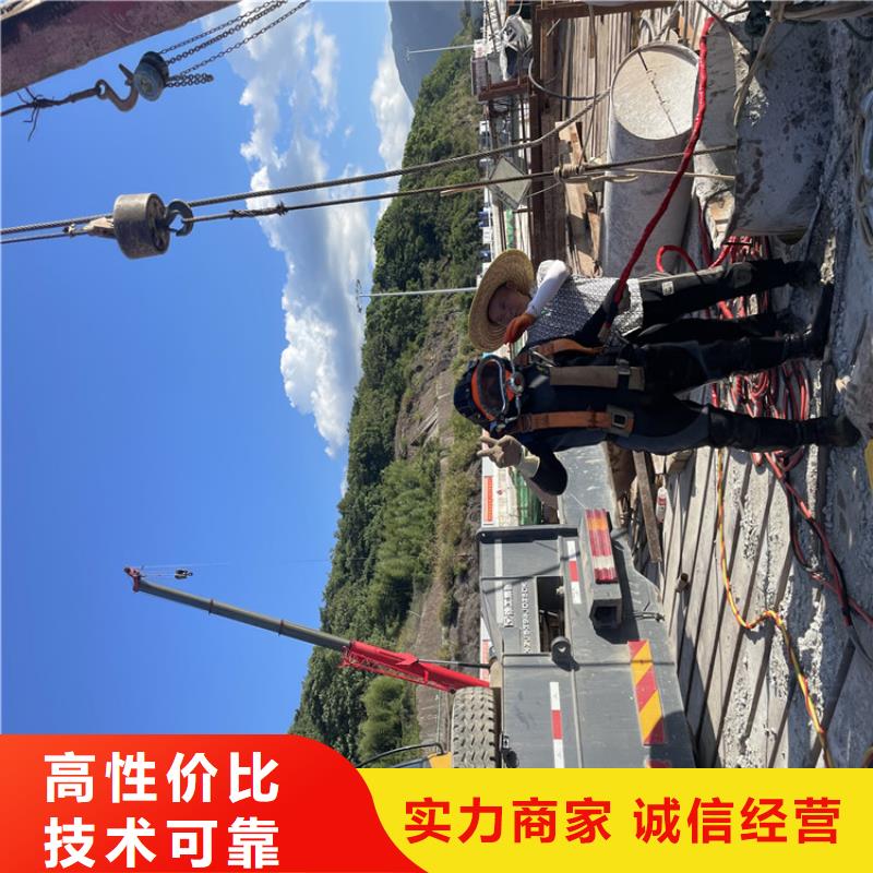 护坡破损模袋修复公司-专业潜水队