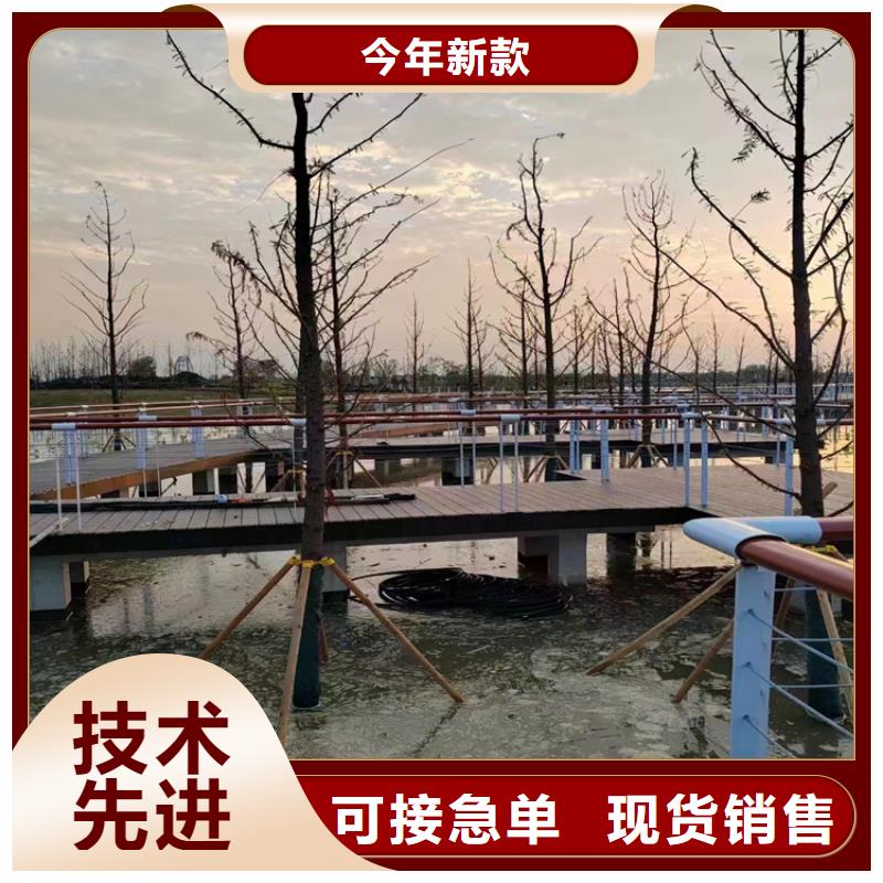 不锈钢绳索护栏,【不锈钢碳素钢复合管护栏】有实力有经验同城品牌