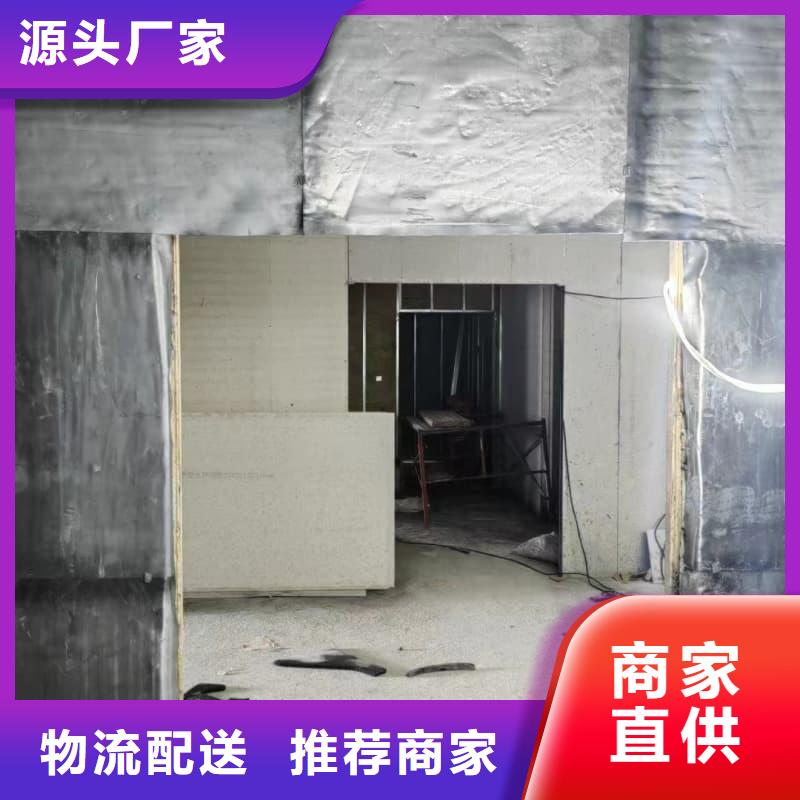 电动防护铅门参数详情
