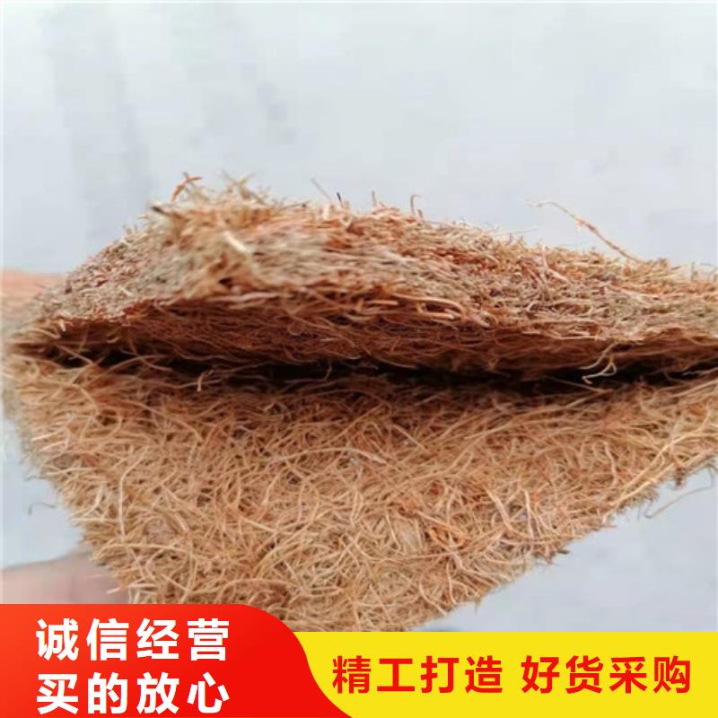 沥青木板-凸结点钢塑土工格栅工厂价格