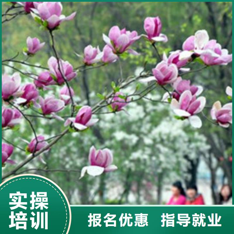 单招培训【厨师烹饪培训】理论+实操