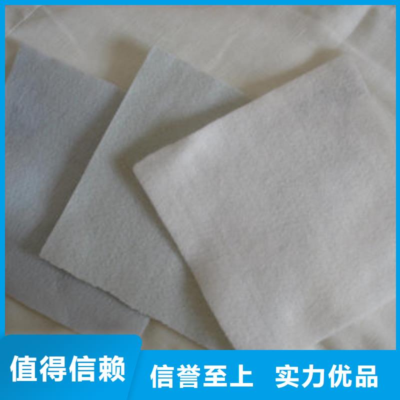 【土工布】-PP焊接土工格栅为您精心挑选