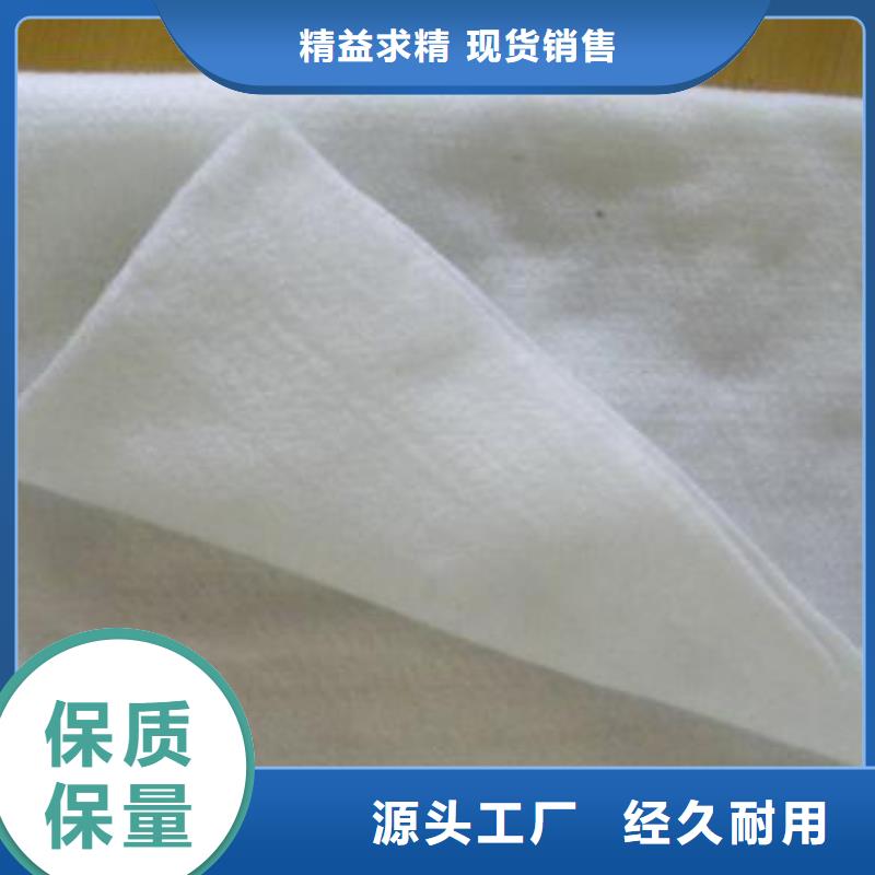 土工布,防渗膜厂家直销省心省钱