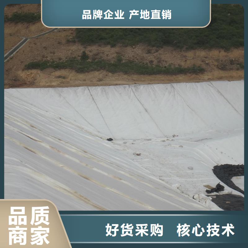 【土工布】-PP焊接土工格栅为您精心挑选